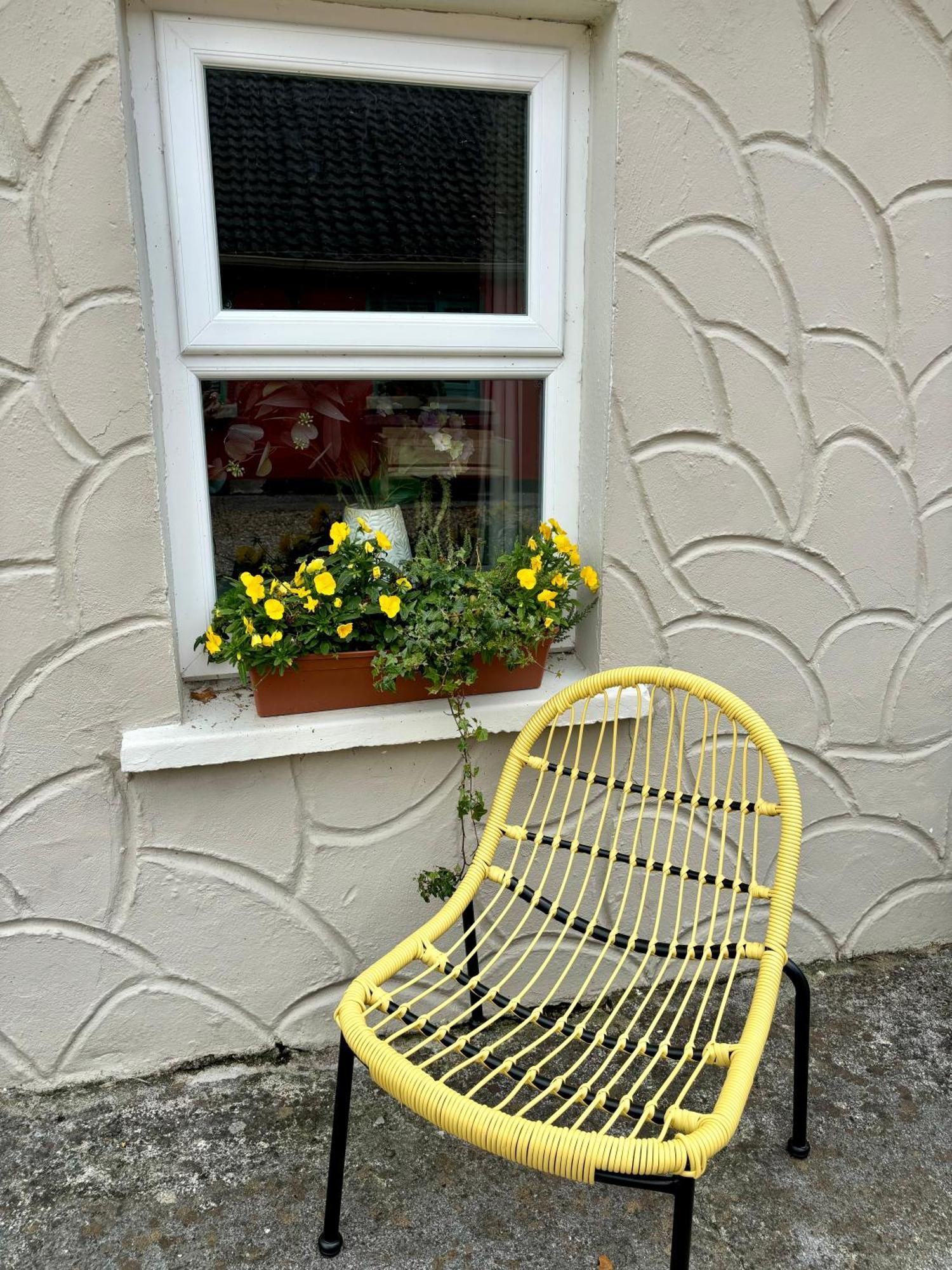 Lemonade Holiday home Kilrush